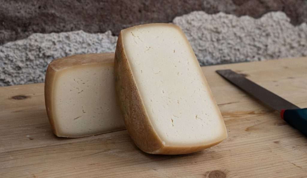 Il cacio di Genazzano diventa Presidio Slow Food Cacio di Genazzano 1