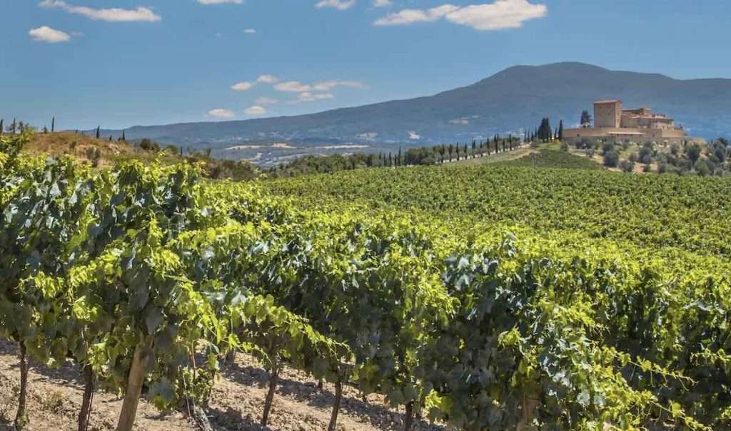 Rioja