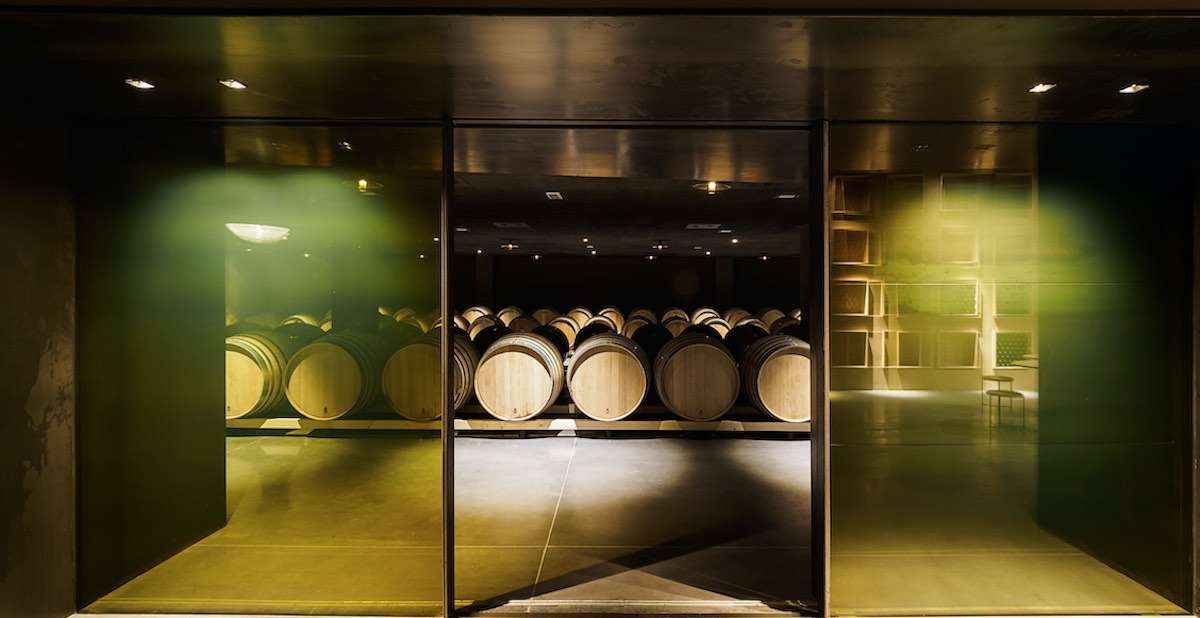 Cantina Pietradolce presenta un nuovo progetto da vecchie viti 2 cantina pietradolce