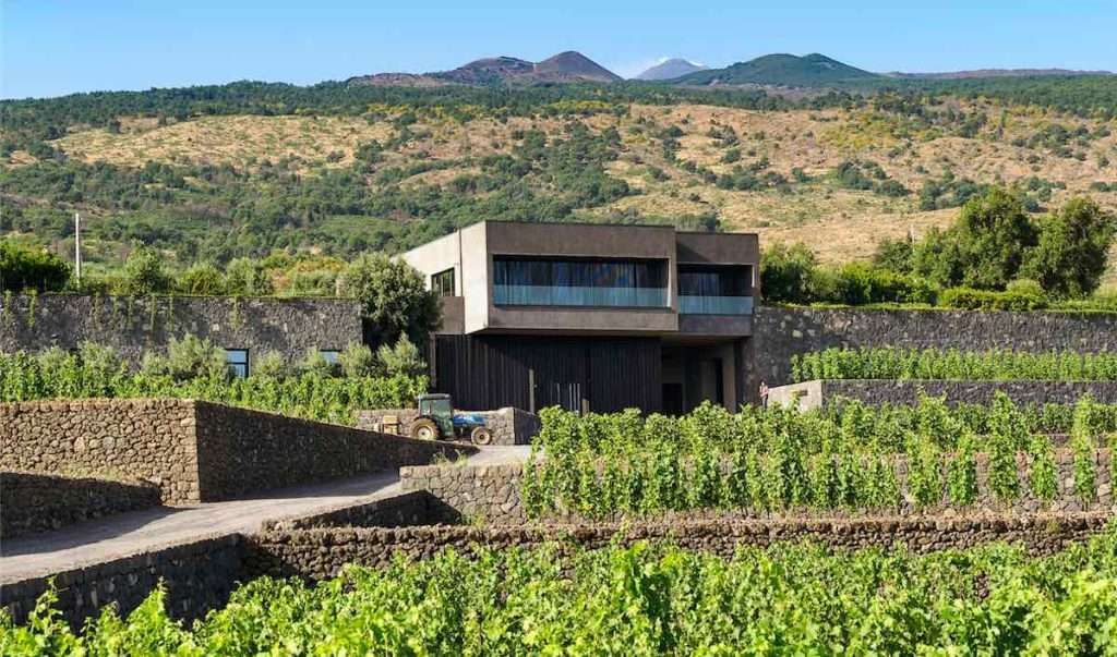 Cantina Pietradolce presenta un nuovo progetto da vecchie viti cantine pietradolce