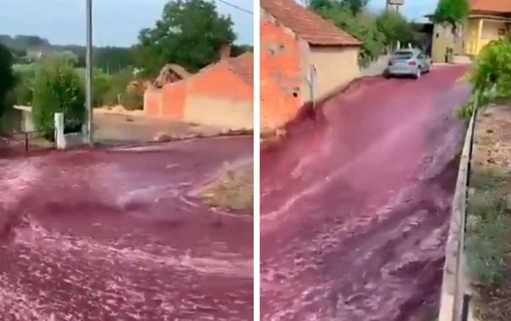 Le incredibili immagini di una città inondata da un fiume di vino portogallo