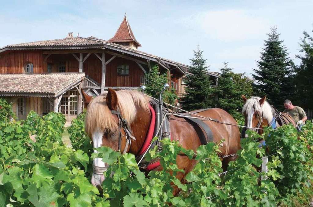 La misteriosa bottiglia offerta alla regina durante la visita a Bordeaux 1 Chateau Smith Haut Lafitte 1