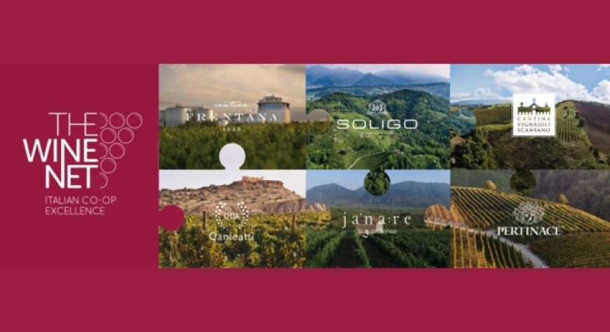 The Wine Net presenta la visione cooperativa del futuro THE WINE NET