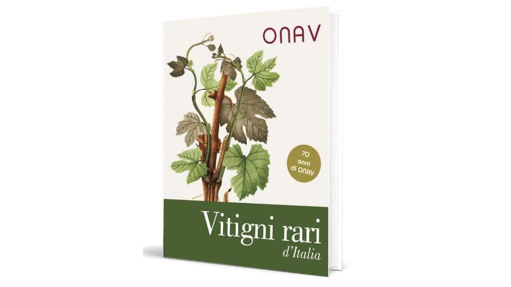 VITIGNI RARI ONAV