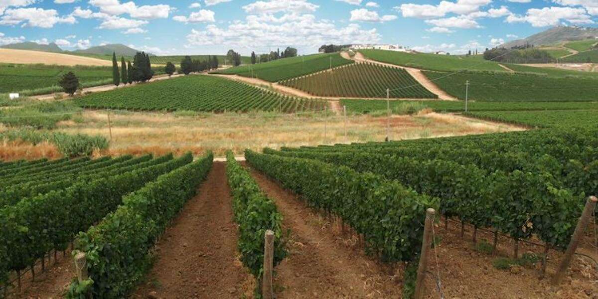 AIS Taormina presenta "Quando la Francia incontrò la Sicilia", un focus-degustazione con Tenuta Rapitalà 1 rapitala