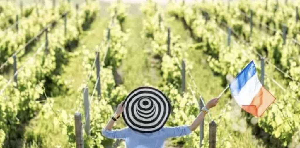 vino francia