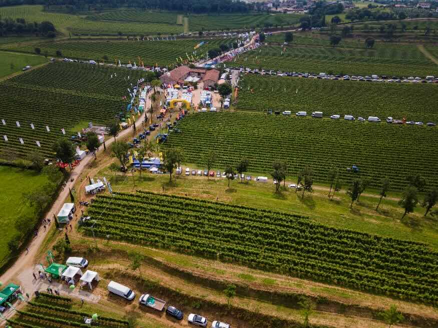 Enovitis in campo Emilia-Romagna: presentata l’edizione 2024 Enovitis