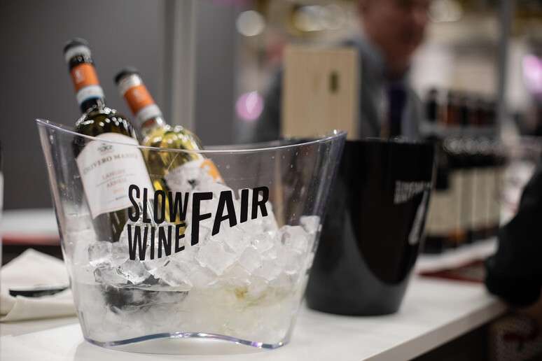 slow wine fair