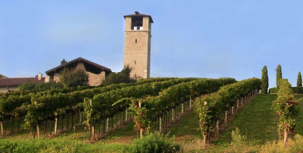 Un anno importante per Valcalepio all’insegna della viti-cultura valcalepio