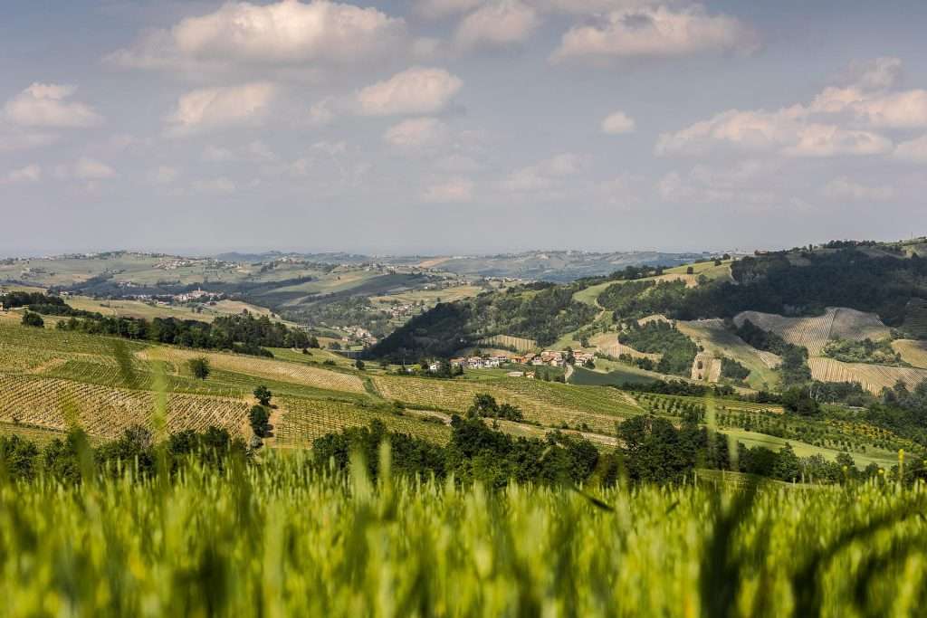 Oltrepò Terra di Pinot Nero: appuntamento il 30 settembre con trenta aziende del territorio COP 6B22313