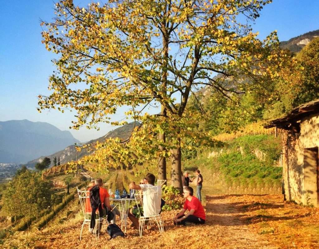 Trentino, con DiVin Ottobre in alto i calici per brindare all’autunno DiVinOttobre FototecaStradaVinoSaporiTrentino PhLCampolongo