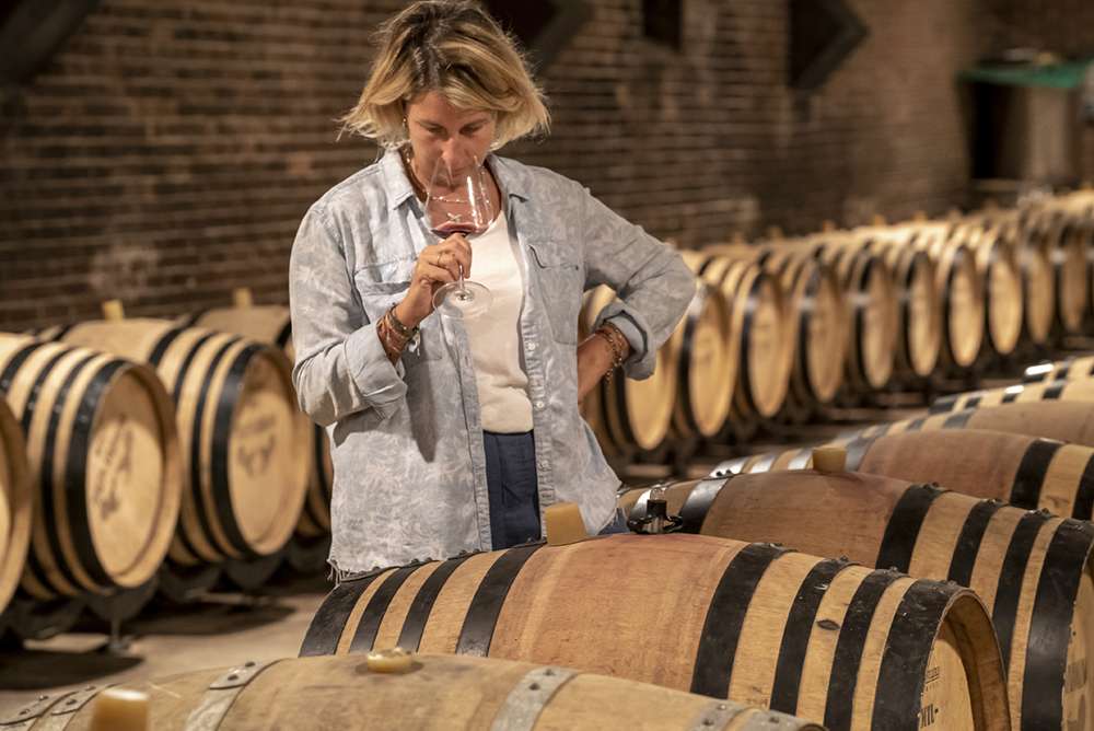 Vendemmia 2024: Un inizio nel segno della qualità in Oltrepò Pavese, con la necessità di rafforzare la filiera SY23278 copia