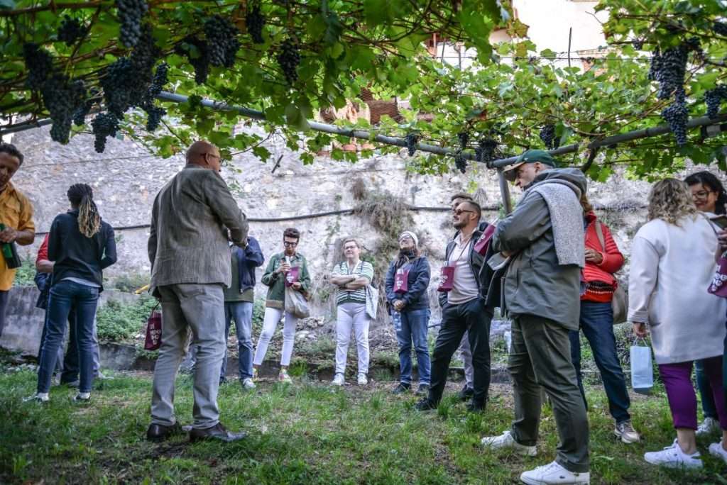 Trentino, dal 6 all’8 settembre torna La Vigna Eccellente Tra vigneti e palazzi Fototeca Comune Isera Ph Benedetta Andreolli 7 l