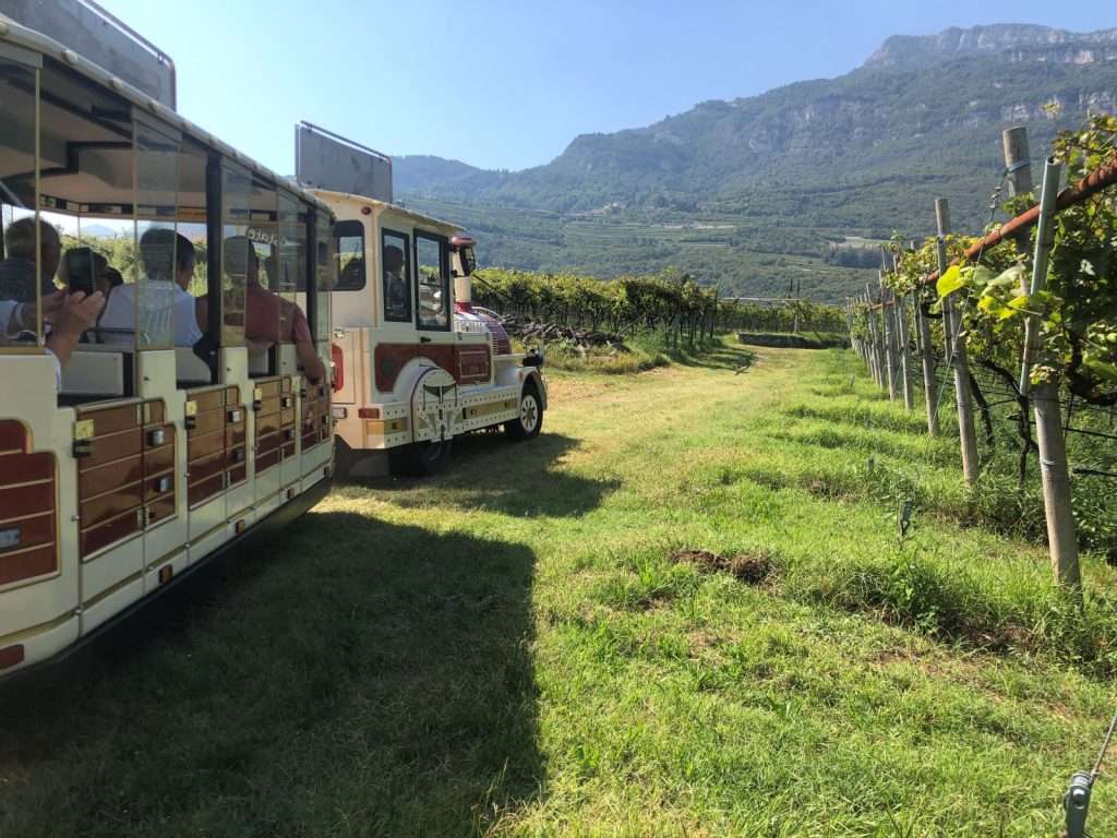 Trentino, dal 6 all'8 settembre torna La Vigna Eccellente 1 Wine Train Archivio Strada Vino Trentino PhLorenza Campolongo 4 lr