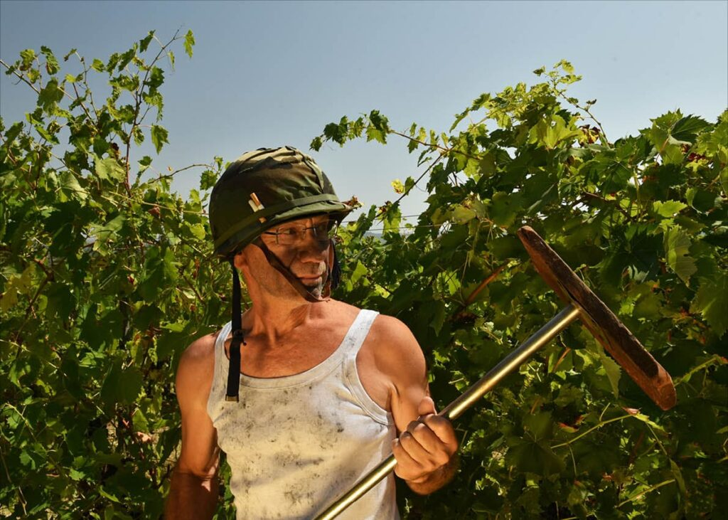 Al G7 agricoltura: I vignaioli indipendenti della FIVI al Expo Divinazione 2024 di Siracusa 1 image
