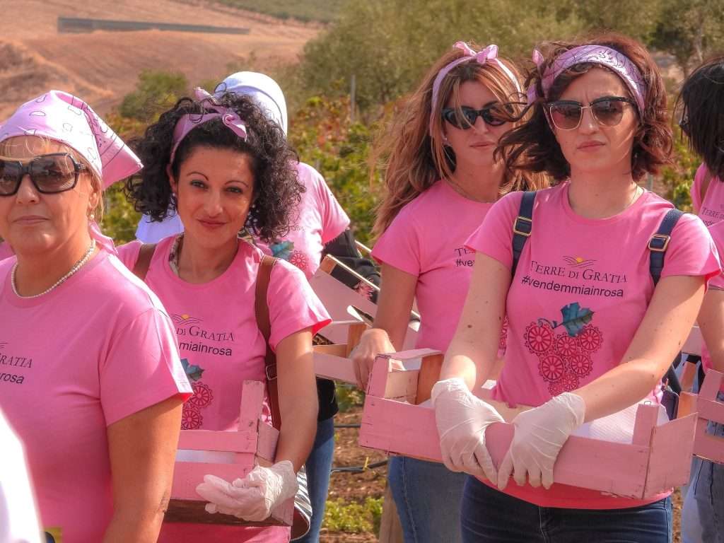 A Camporeale c'è "Vendemmia in Rosa", l'evento di solidarietà per le donne vittime di violenza 1 ok 6