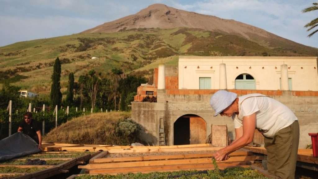 Guida Veronelli 2025, Cusolito fra i “Dieci Sole” con il suo Malvasia 03 GV25 SOLE Cusolito
