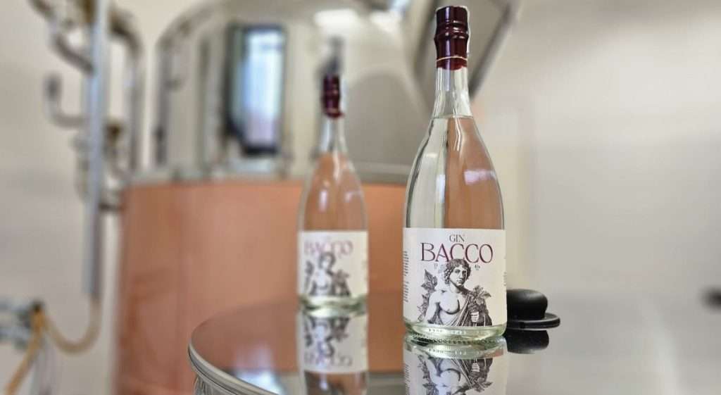 Gin Bacco 3
