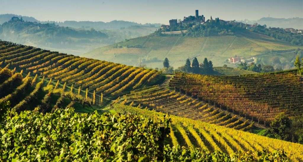 Go Wine,”I grandi terroir del Barolo” giungono alla sedicesima edizione barolo