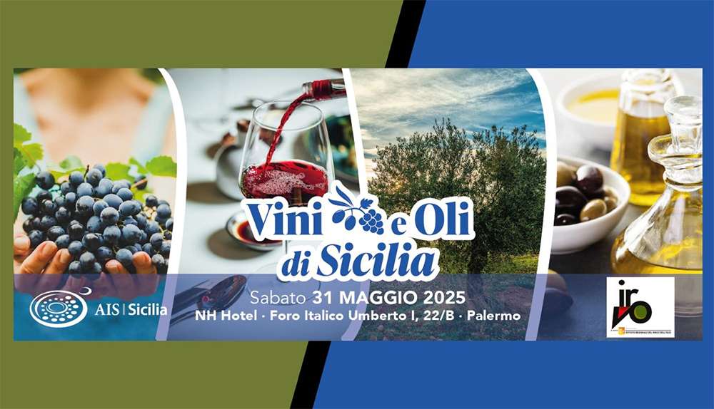 vini e oli di sicilia 2
