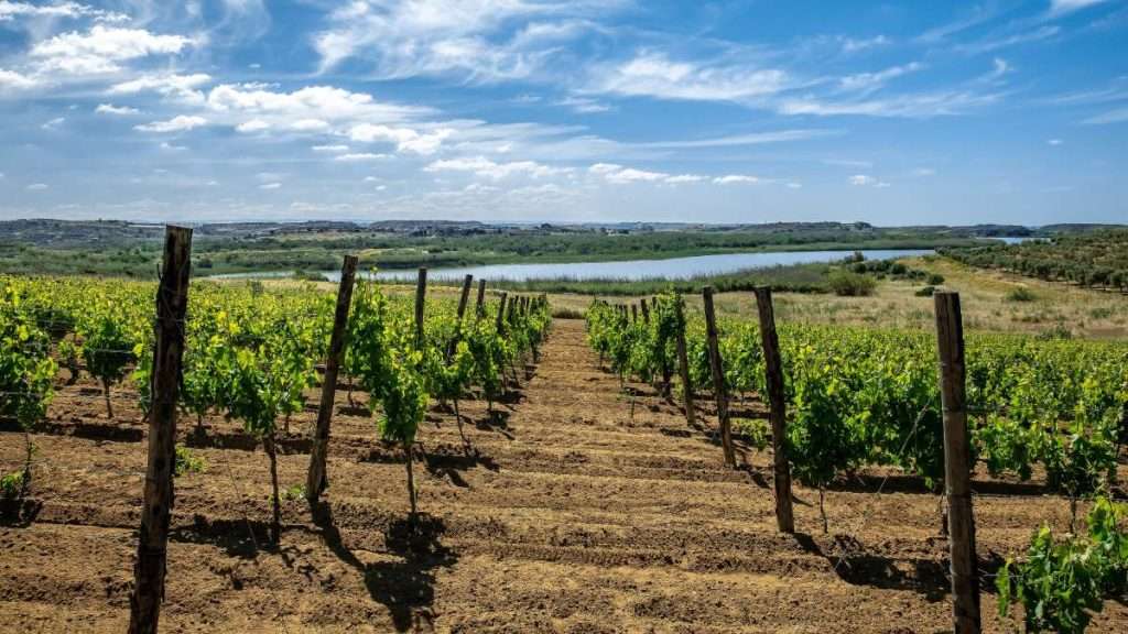 Casa Grazia apre le porte all’inclusione: al via il progetto “Sinestesie” vino casa grazia