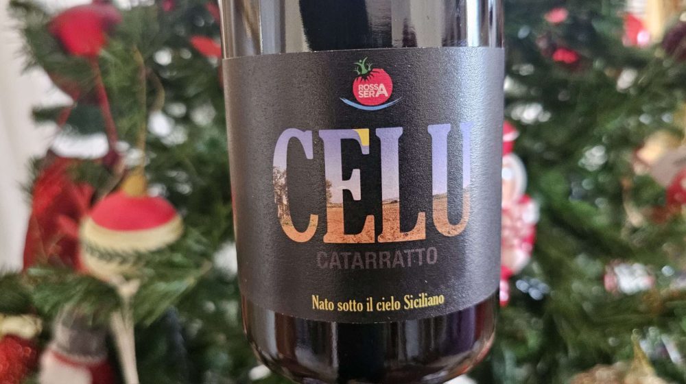 Catarratto Celu, il gusto della rinascita nel progetto ri-coltiviAMO 20251230 142627 scaled e1767423779845